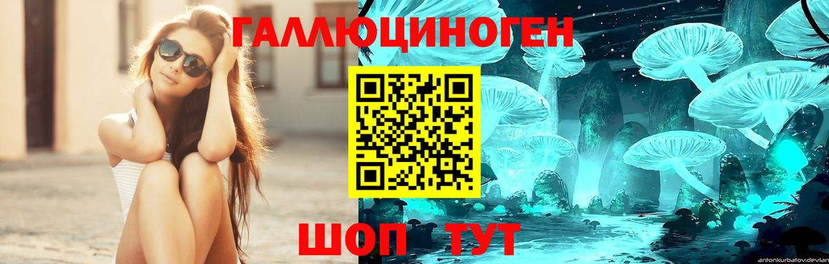 Псилоцибиновые грибы Psilocybine cubensis  Вход с VPN  Псилоцибиновые грибы MAGIC MUSHROOMS  Калининград 