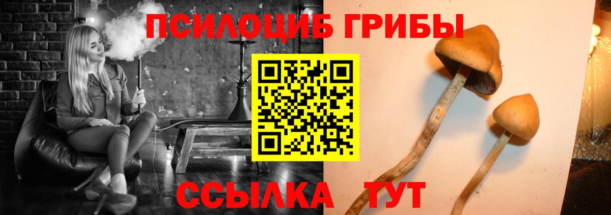 Галлюциногенные грибы GOLDEN TEACHER Калининград